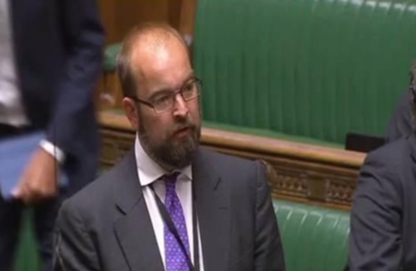 James Duddridge MP in Parliament