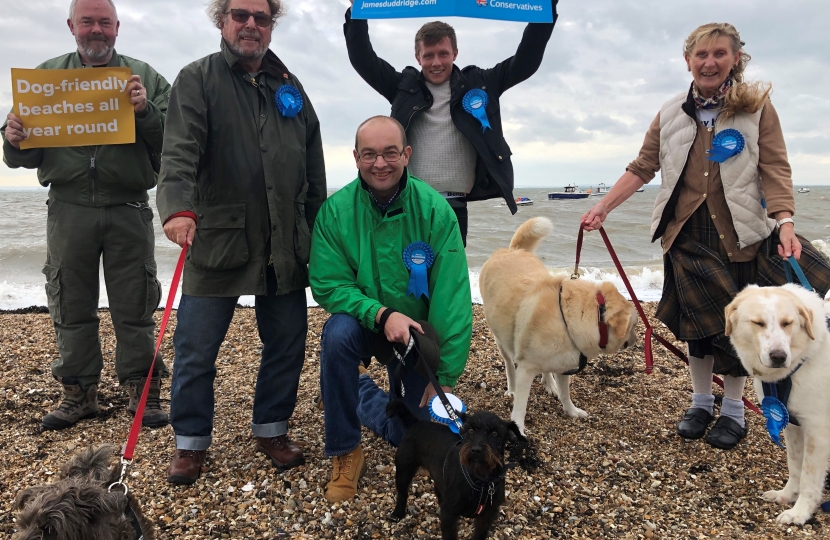 Dogs on beaches campaign