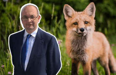 James Duddridge, fox