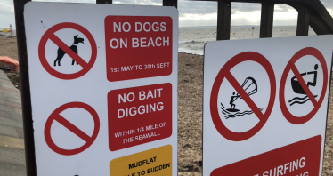 Dog-friendly beach 